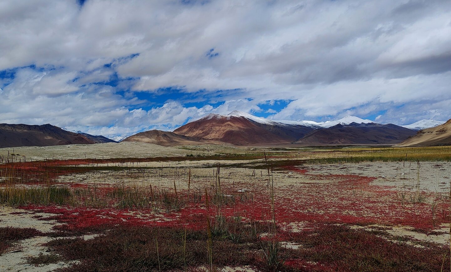 Enabling sustainability decisions